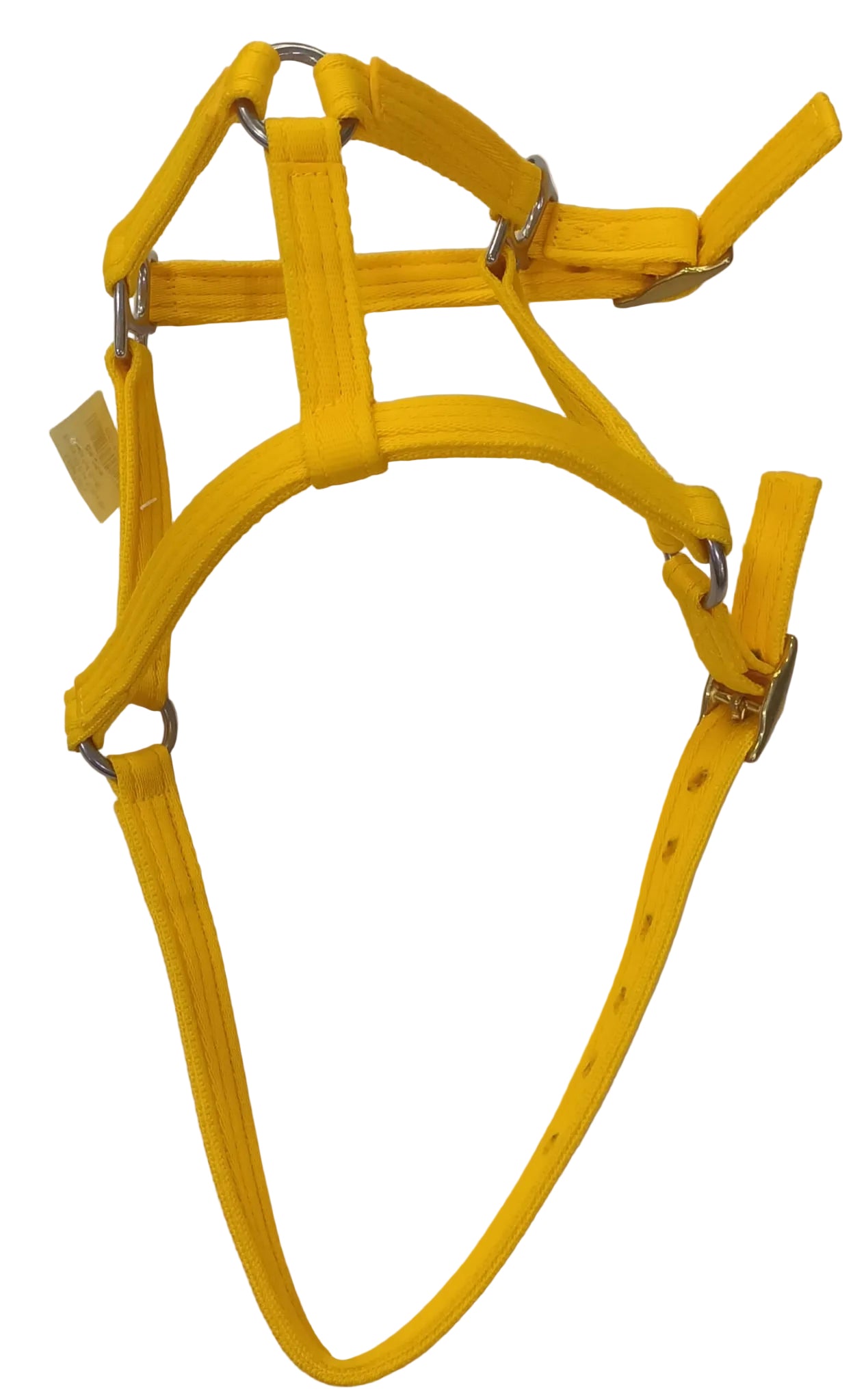 Foal Halter (R/M)