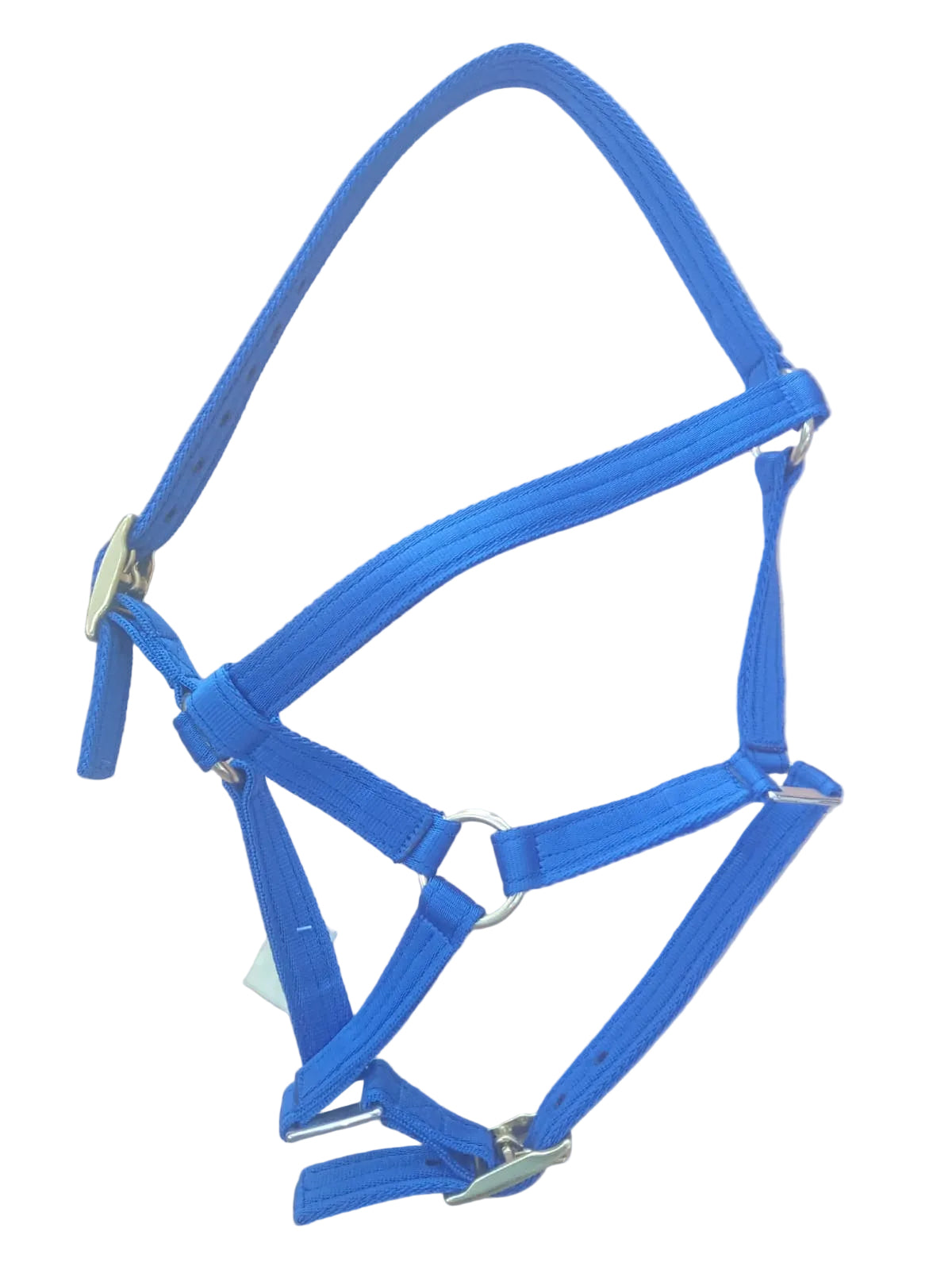 Head Collar (R/M)