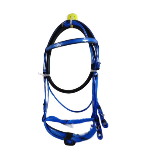 Briddle & Cavsson Padded W/Rein (Dark Blue)