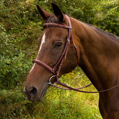 Leather Bridle (10015)