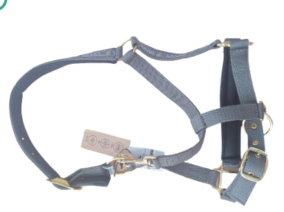 Horze Hampons Halter (Pony)