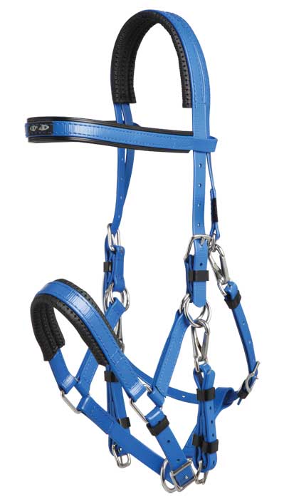 PVC Endurance Bridle Set W/Martingle