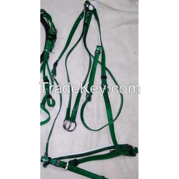 Status PVC Martingle