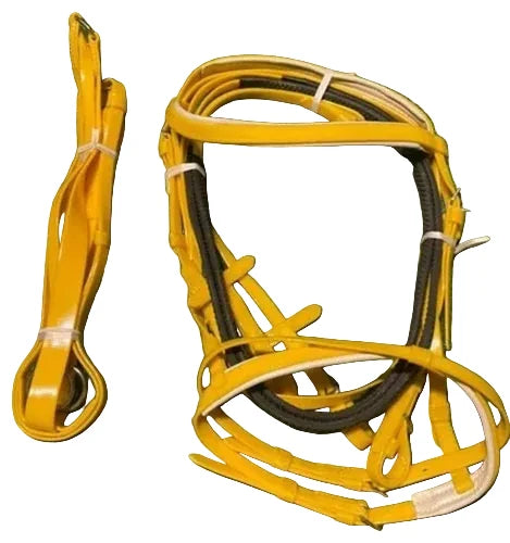 Status PVC Briddle
