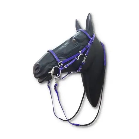 PVC Endurance Bridle Set W/Martingle