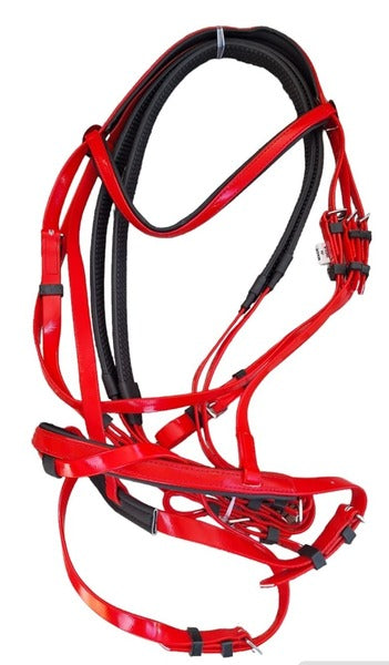 Status PVC Briddle