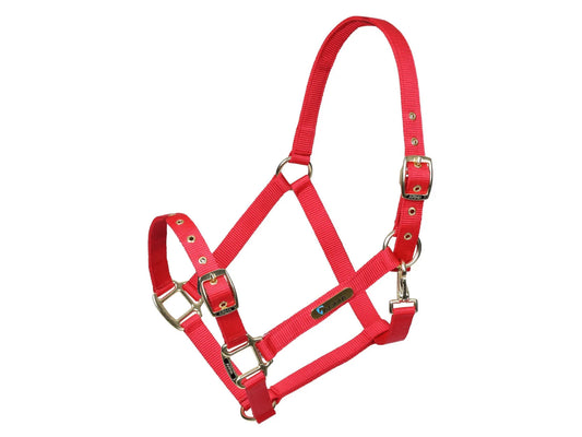 Arma Head Collar Adjustable (Red)